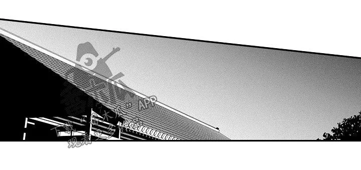 伪造报告漫画结局漫画,第31章：行踪4图