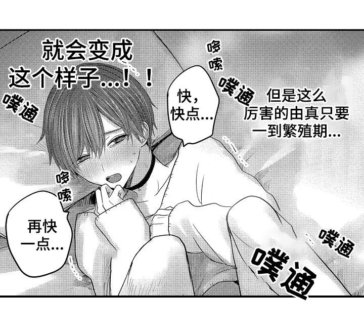 伪造报告漫画免费阅读完整版下拉式6漫画,第47章：番外5图