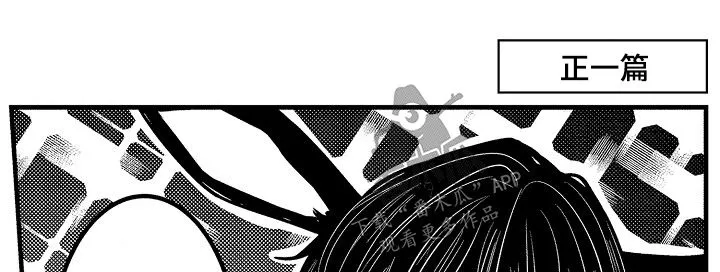 伪造报告漫画免费阅读完整版下拉式6漫画,第47章：番外14图