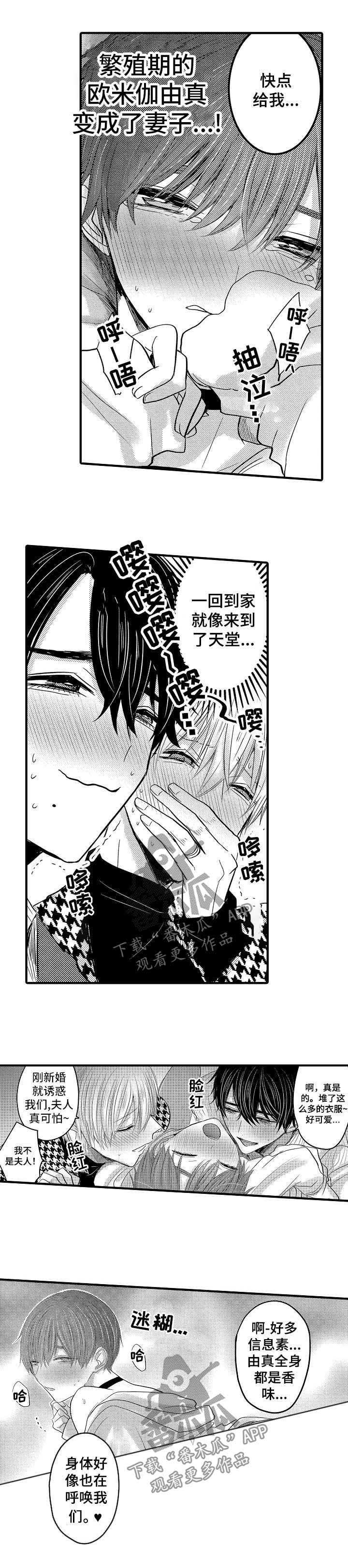 伪造报告漫画结局漫画,第49章：【第二季】我的妻子们5图
