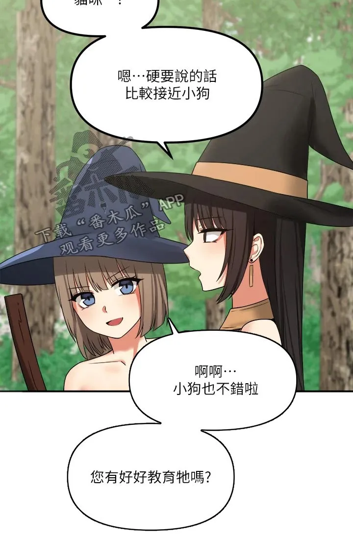 精灵妹抖漫画漫画,第38章：魔女23图