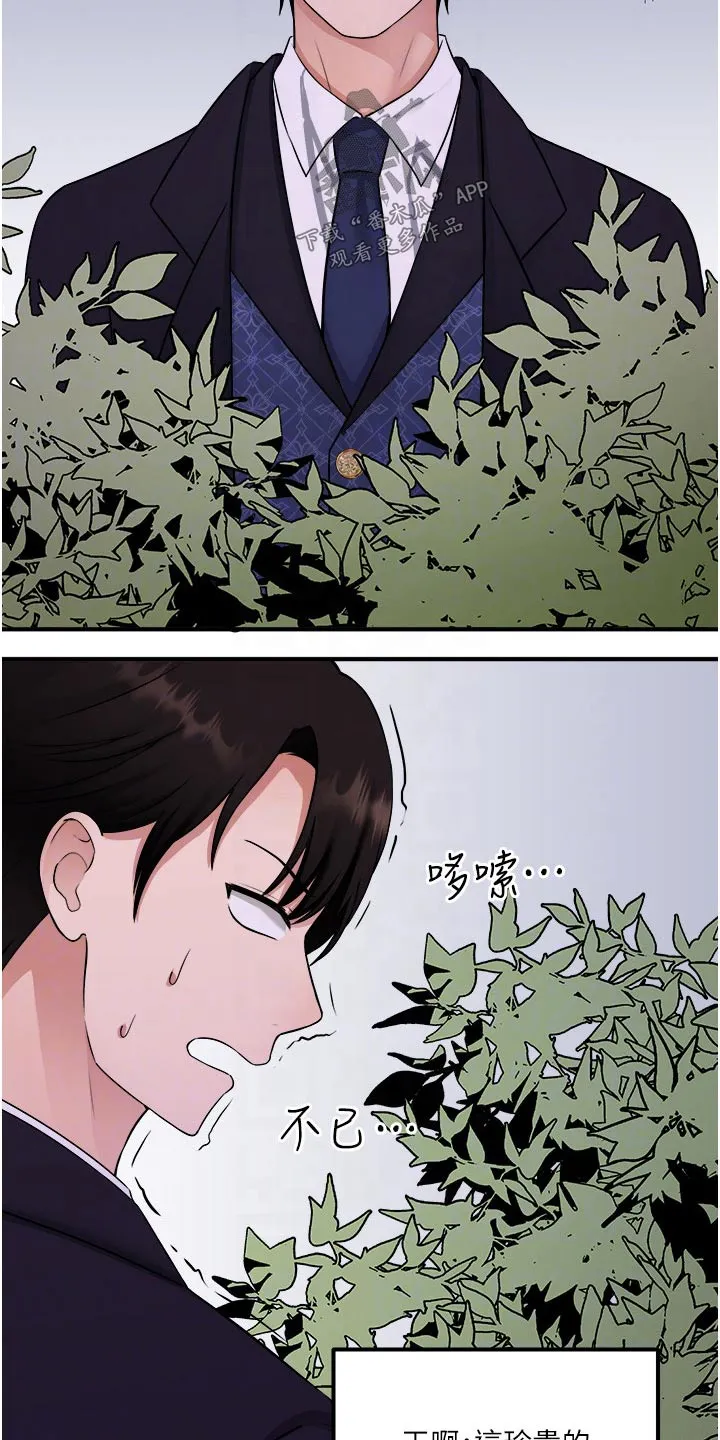 精灵妹抖漫画漫画,第63章：家族16图