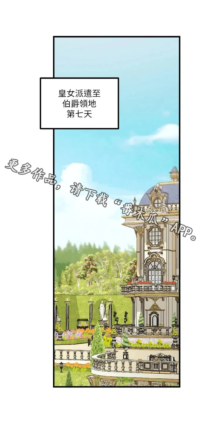 精灵动漫漫画,第105章：聊天1图