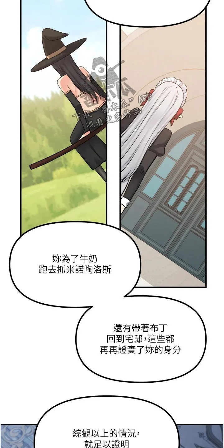 精灵妹抖漫画漫画,第84章：底细17图