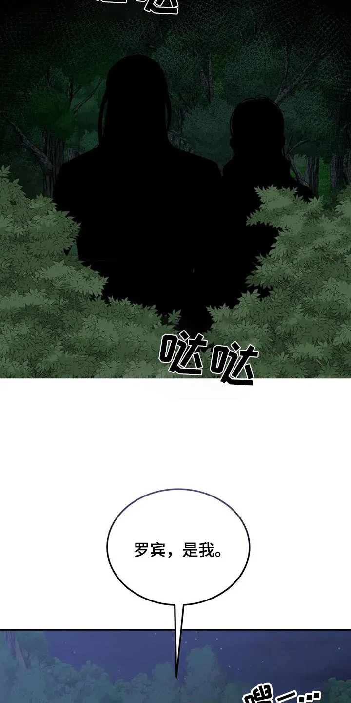 传奇之旅漫画漫画,第114章：伙伴17图