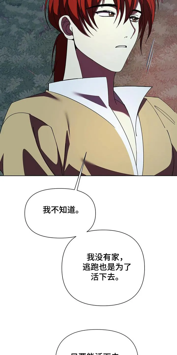 黑小虎传奇漫画漫画,第104章：本事20图