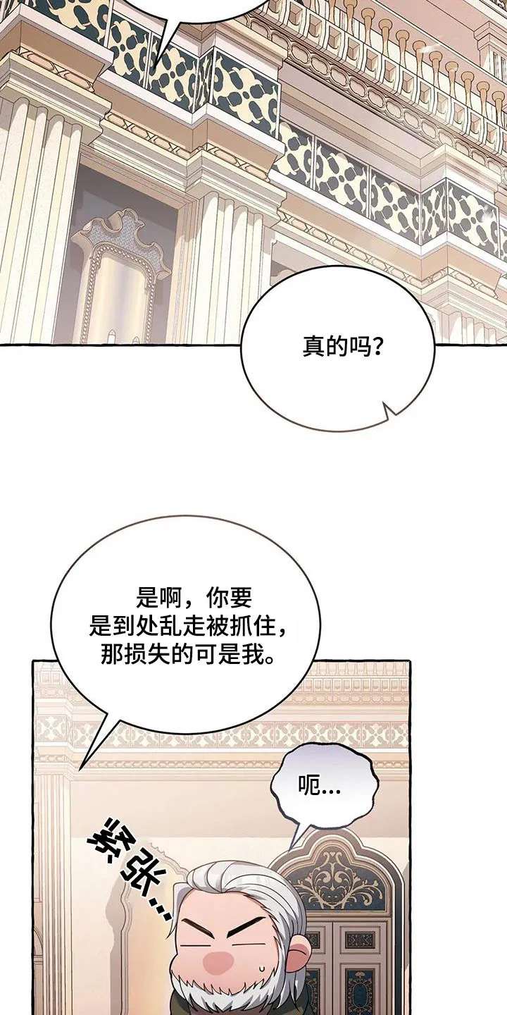 传奇之旅漫画漫画,第120章：安排5图