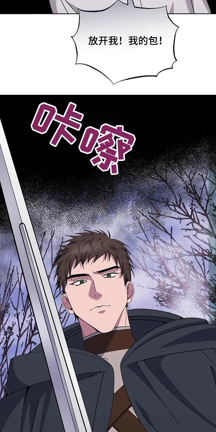 传奇之旅漫画漫画,第89章：强盗26图