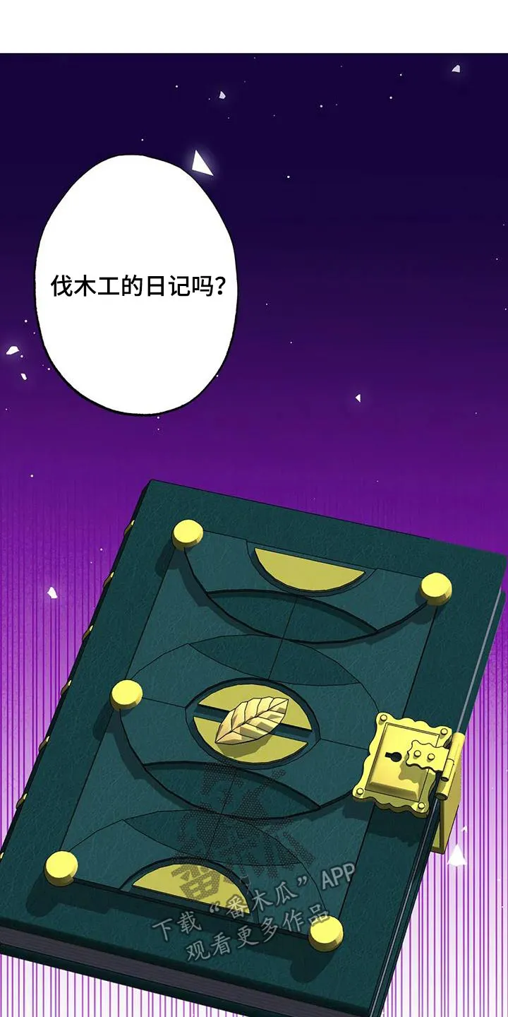 传奇之旅漫画漫画,第156章：日记17图
