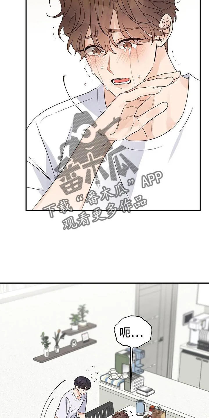 逃不掉的命运漫画12漫画,第103章：【番外】我会记得一辈子（完结）2图