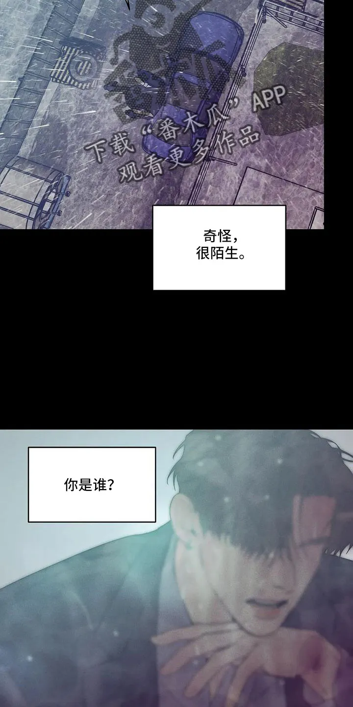 贝壳少年漫画漫画,第146章：【第三季】等你回来9图