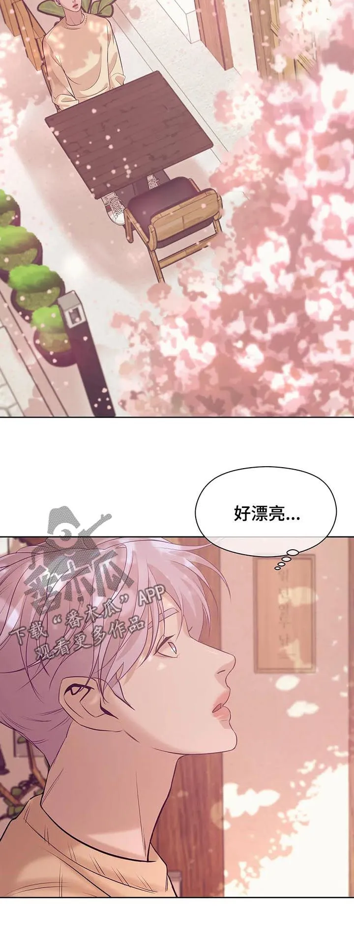 贝壳少年漫画免费下拉漫画,第50章：放手！2图