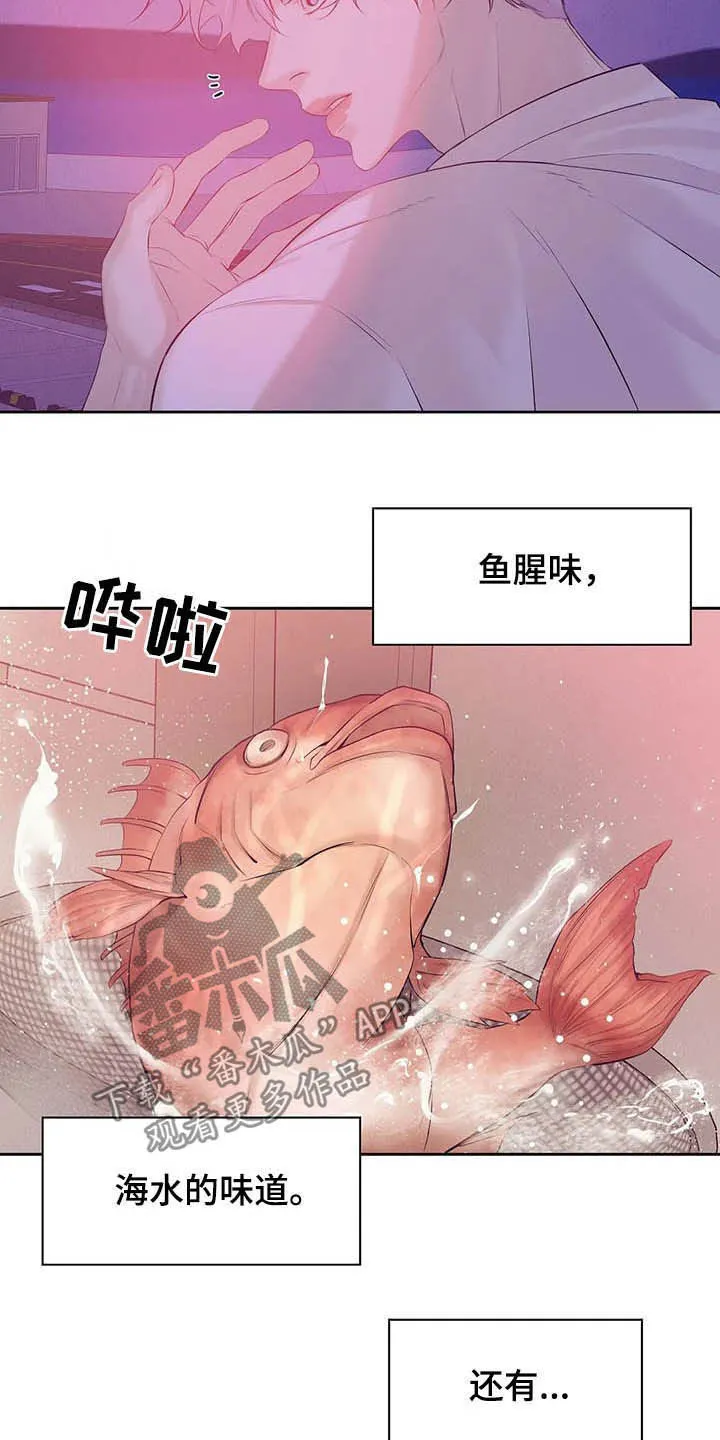 贝壳少年漫画漫画,第87章：【第二季】按兵不动25图