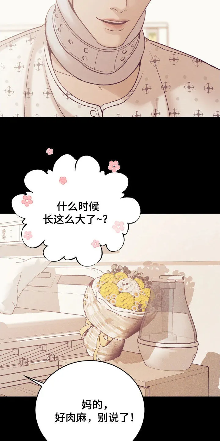 贝壳少年漫画漫画,第184章：【番外】恩情21图