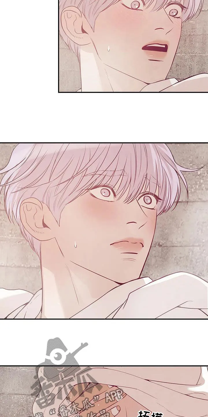 贝壳少年漫画完整版免费阅读看画漫画,第116章：【第三季】学会做人11图