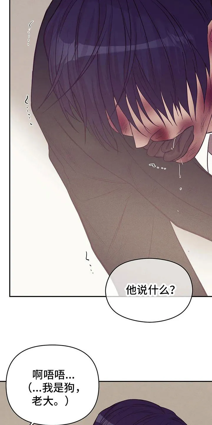 贝壳少年漫画合集漫画,第137章：【第三季】你甘愿吗8图