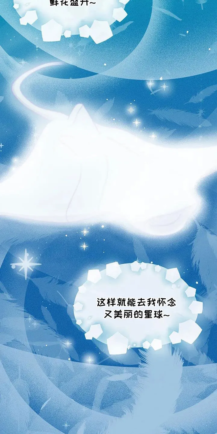 贝壳少年漫画漫画,第179章：【第三季】再无奢求19图