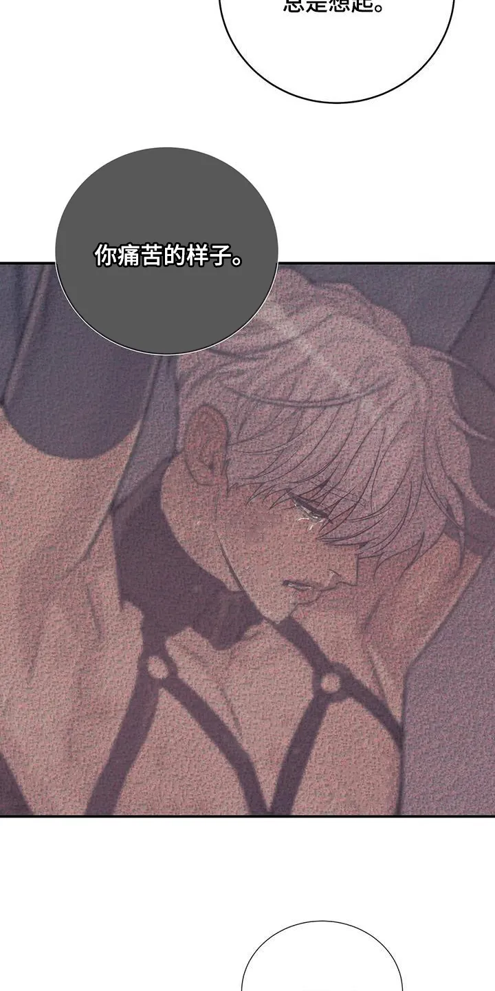 贝壳少年漫画漫画,第166章：【第三季】该结束了12图