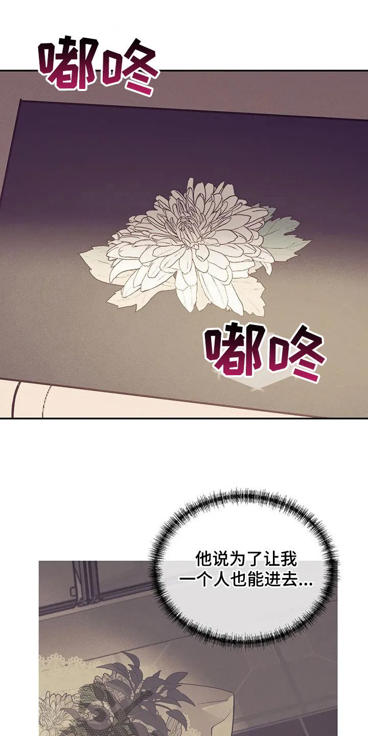 漫画 贝壳少年漫画,第169章：【第三季】妥协19图