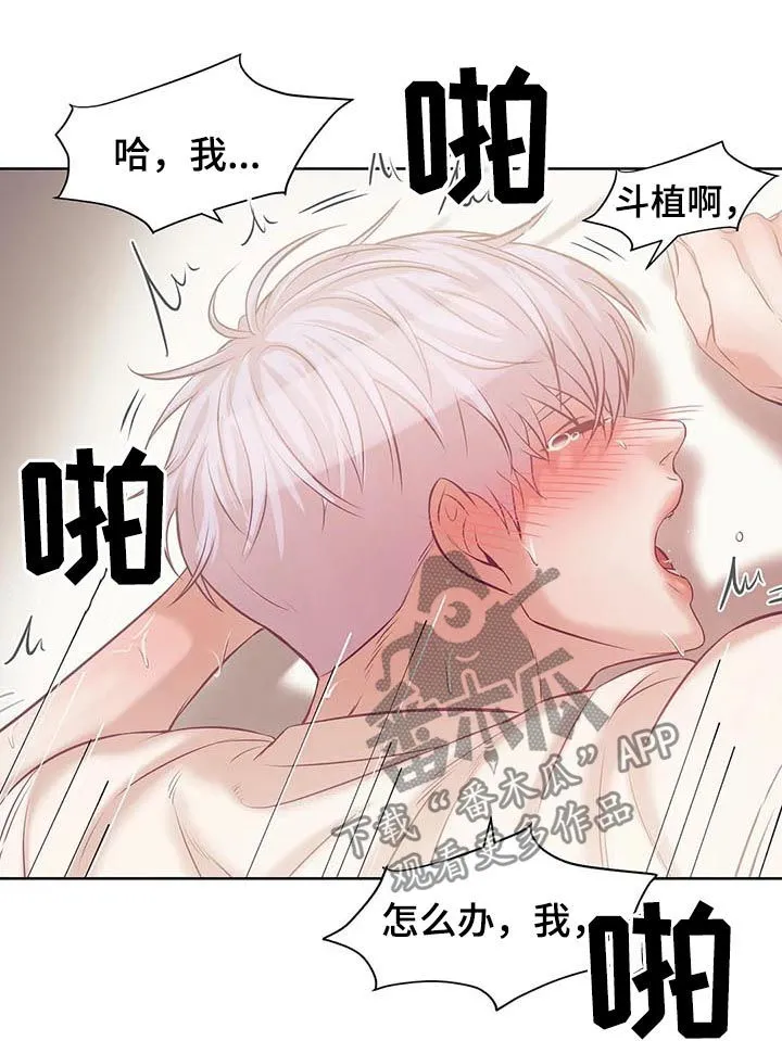 贝壳少年漫画哩咪漫画,第34章：老练12图