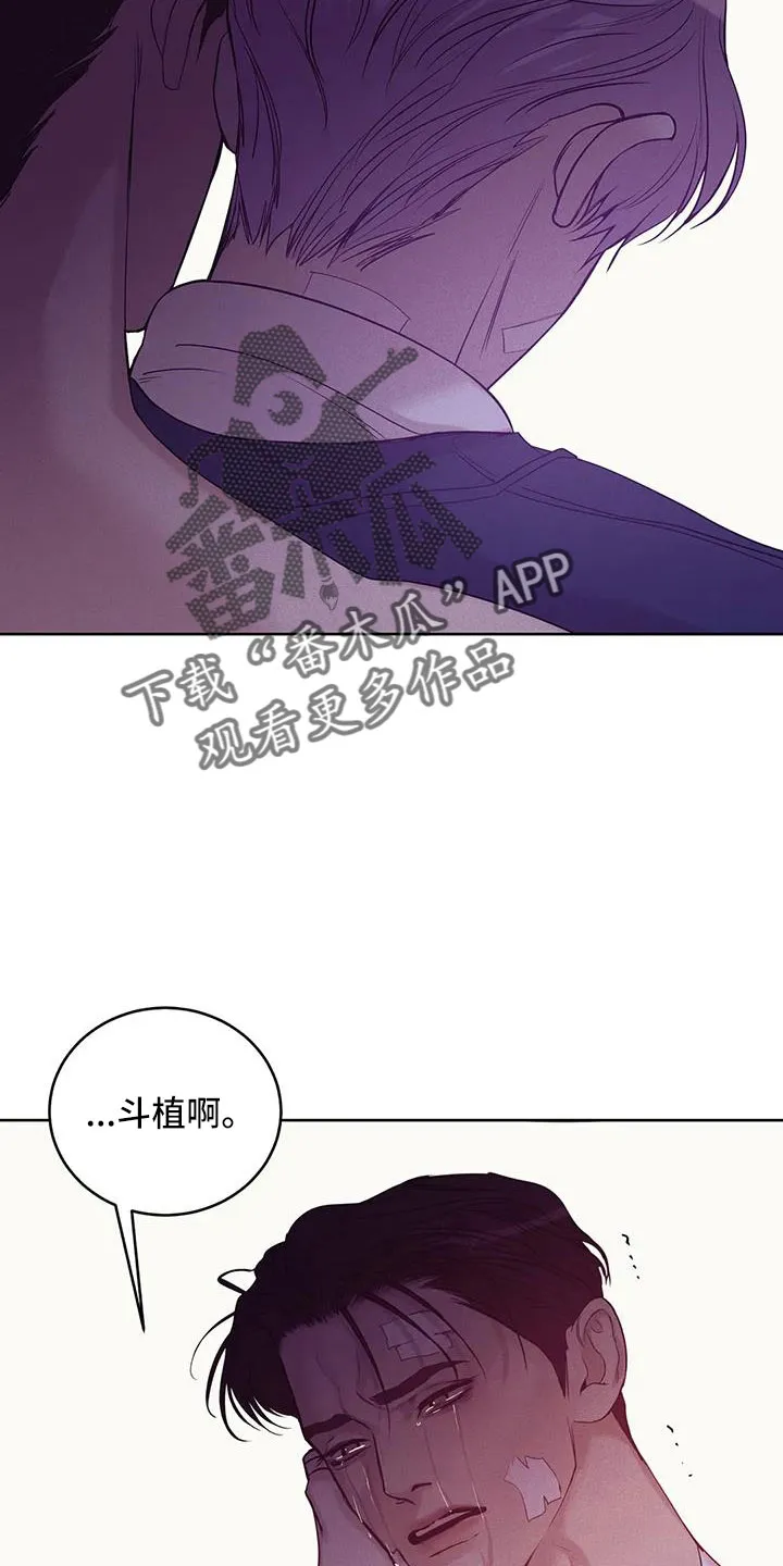 贝壳少年漫画漫画,第153章：【第三季】来得太晚15图