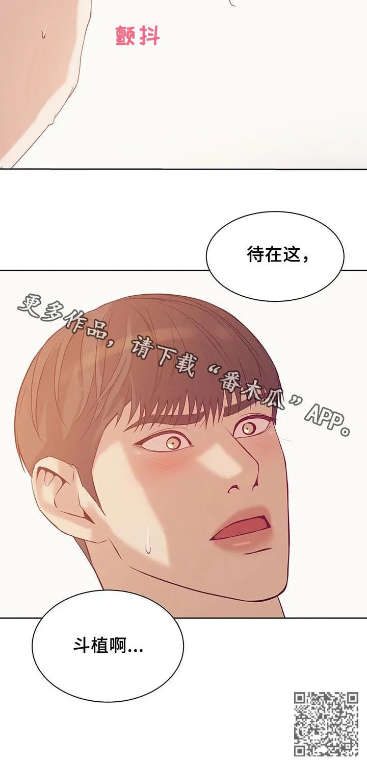 贝壳少年漫画漫画,第56章：你别走18图