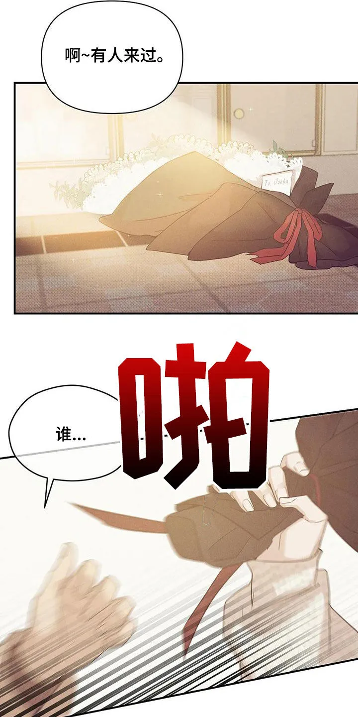漫画 贝壳少年漫画,第132章：【第三季】有人来过25图