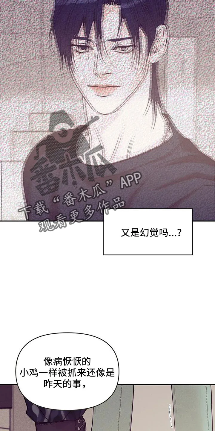 贝壳少年漫画漫画,第143章：【第三季】遇袭30图