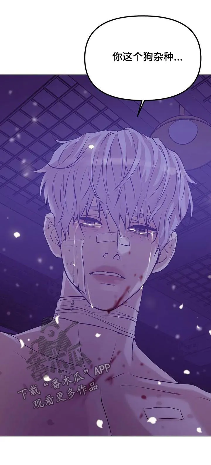 贝壳少年漫画漫画,第68章：【第二季】一群窝囊废13图