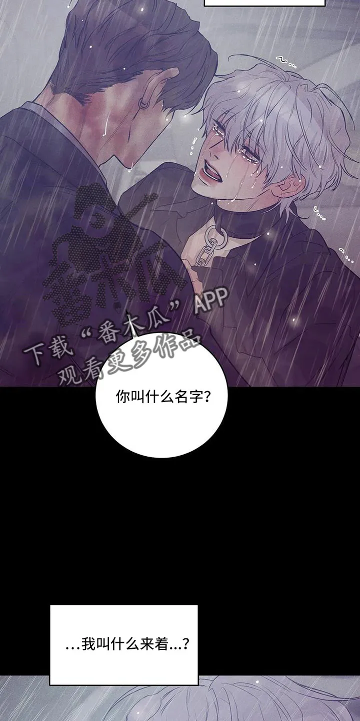 贝壳少年漫画漫画,第146章：【第三季】等你回来15图