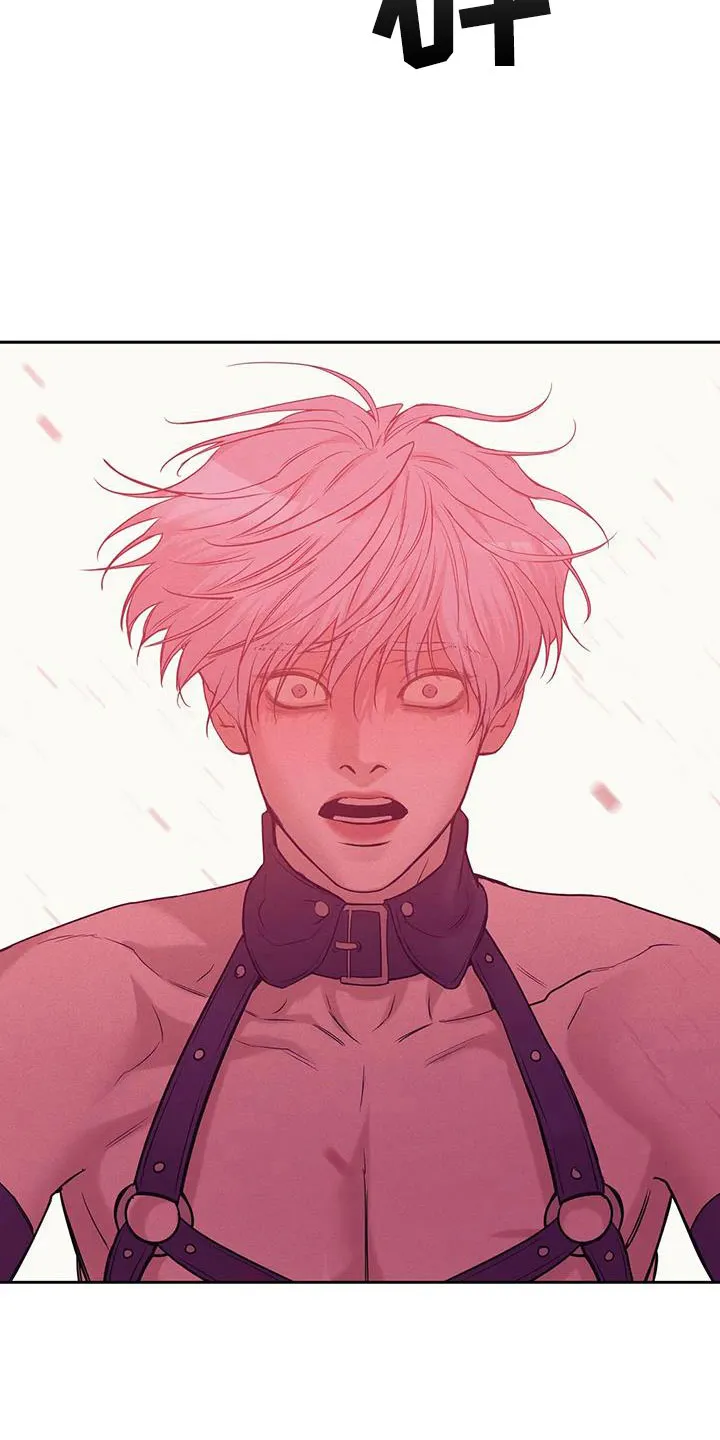 贝壳少年漫画漫画,第146章：【第三季】等你回来21图