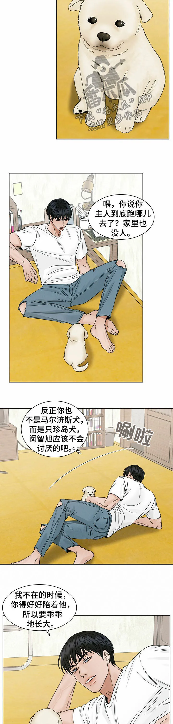 即便你不爱我漫画第19章漫画,第71章：意外身亡10图