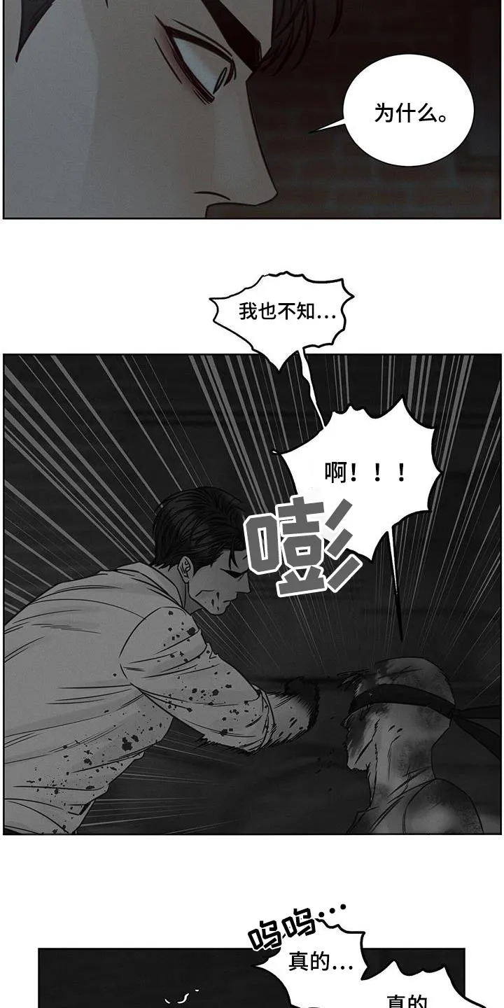 即便你不爱我漫画完结了吗漫画,第144章：【第二季】幕后主使13图