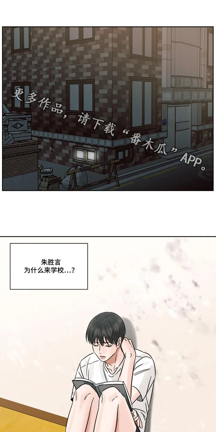 即便你不爱我漫画第19章漫画,第175章：【第二季】每天1图