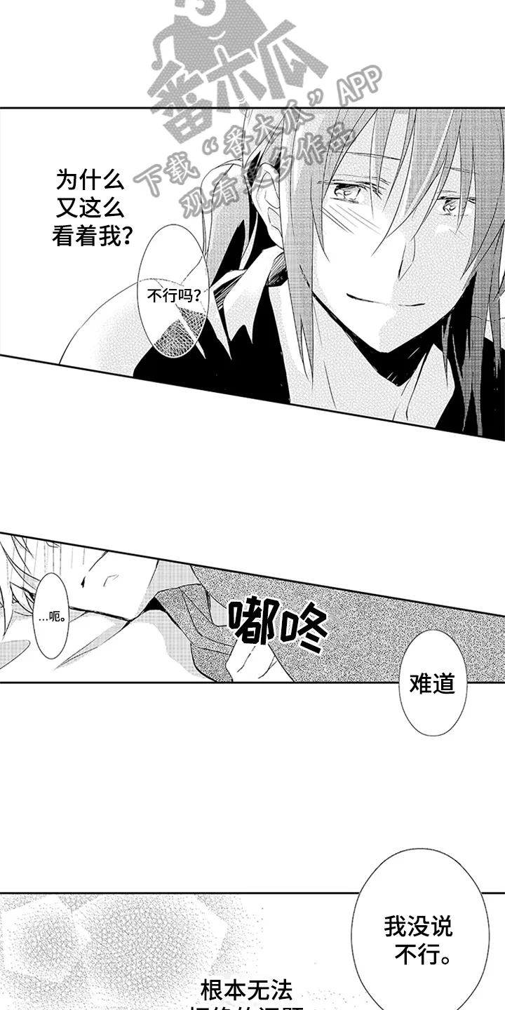 帅哥大危机漫画漫画,第19章：身份11图