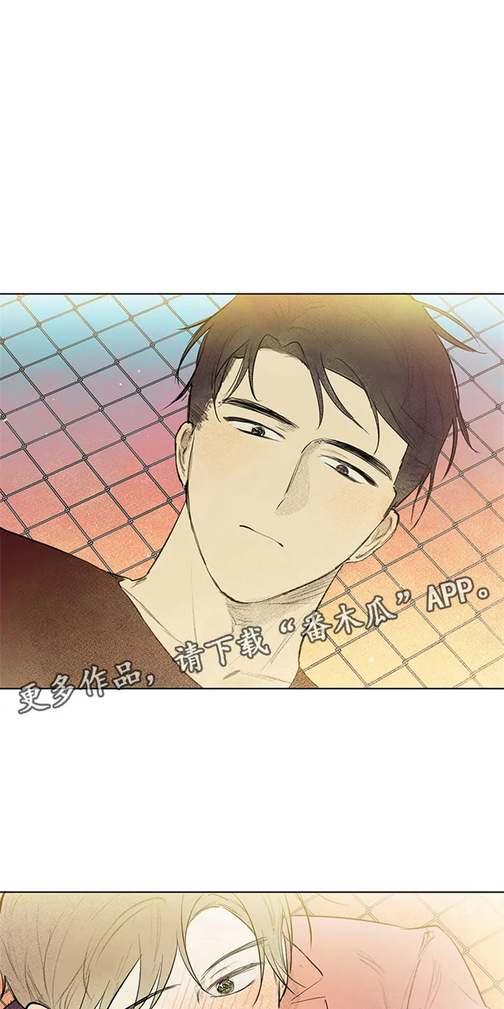 灵感与期待漫画漫画,第30章：新古董伙伴：更进一步14图