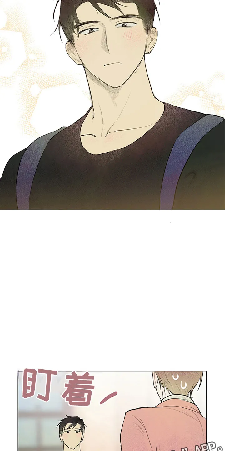 灵感与期待漫画漫画,第29章：新古董伙伴：请多关照15图