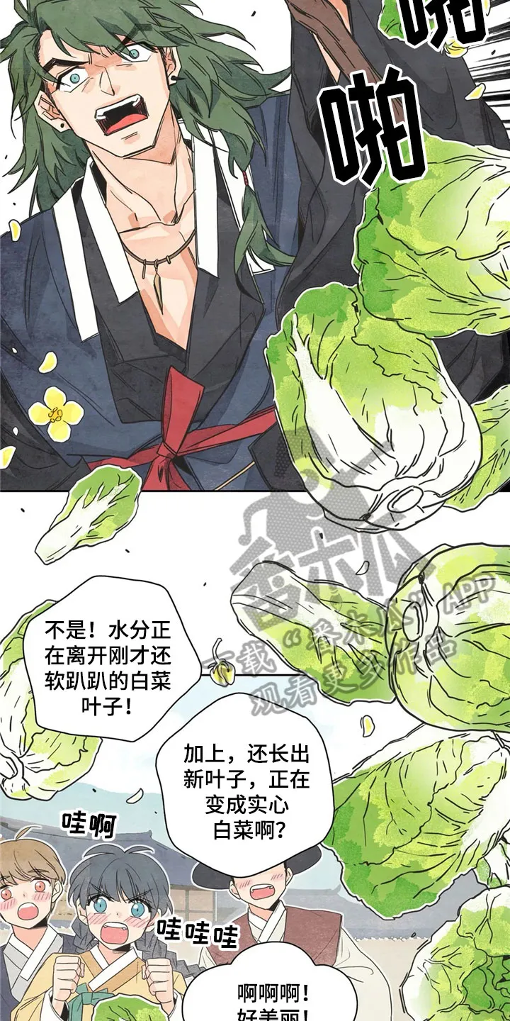 漫画灵感素材漫画,第35章：萝卜与白菜：泡菜神9图