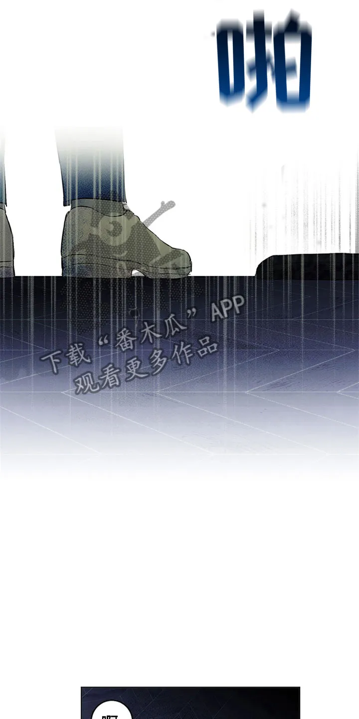 期待的周日漫画漫画,第33章：新古董伙伴：误会21图