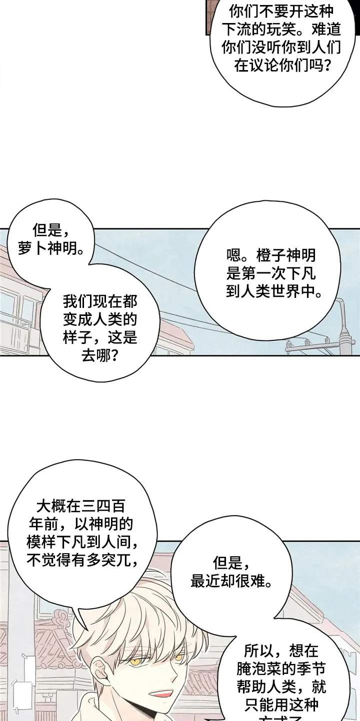 灵感与期待漫画,第38章：萝卜与白菜：丰收12图