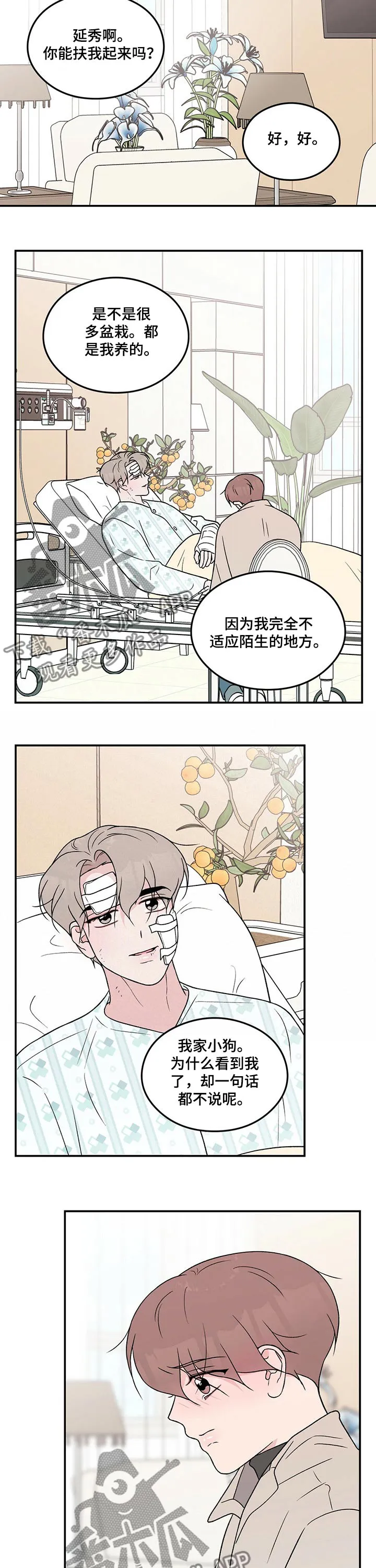 恋情议论 漫画漫画,第97章：【第二季】探病4图