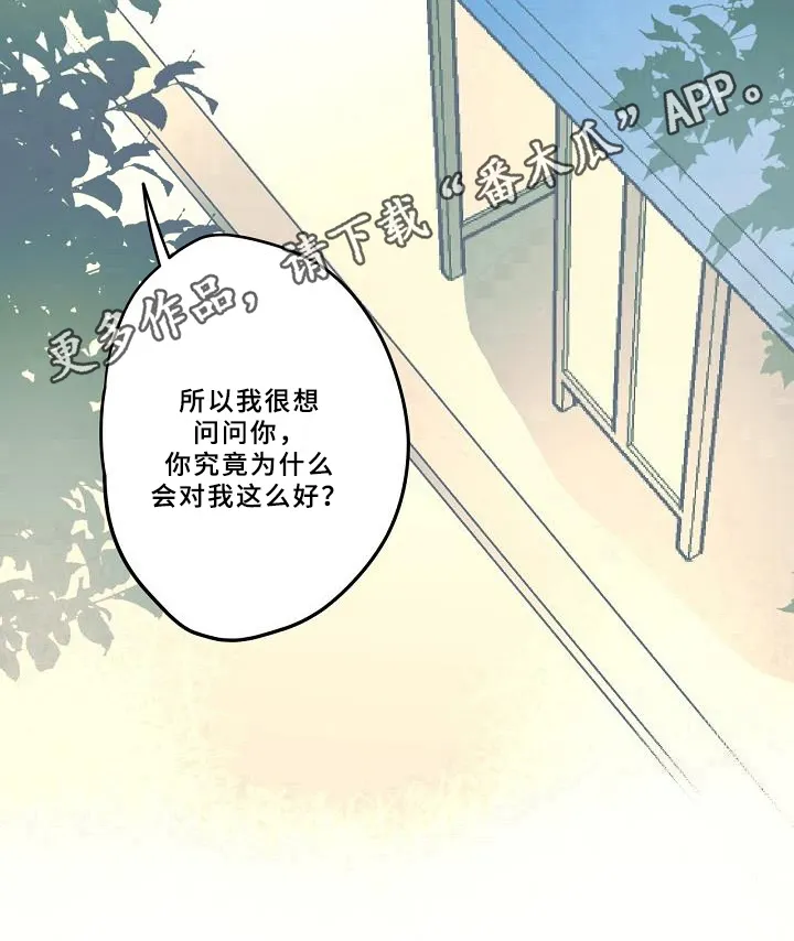 线性错误漫画漫画,第23章：好奇12图