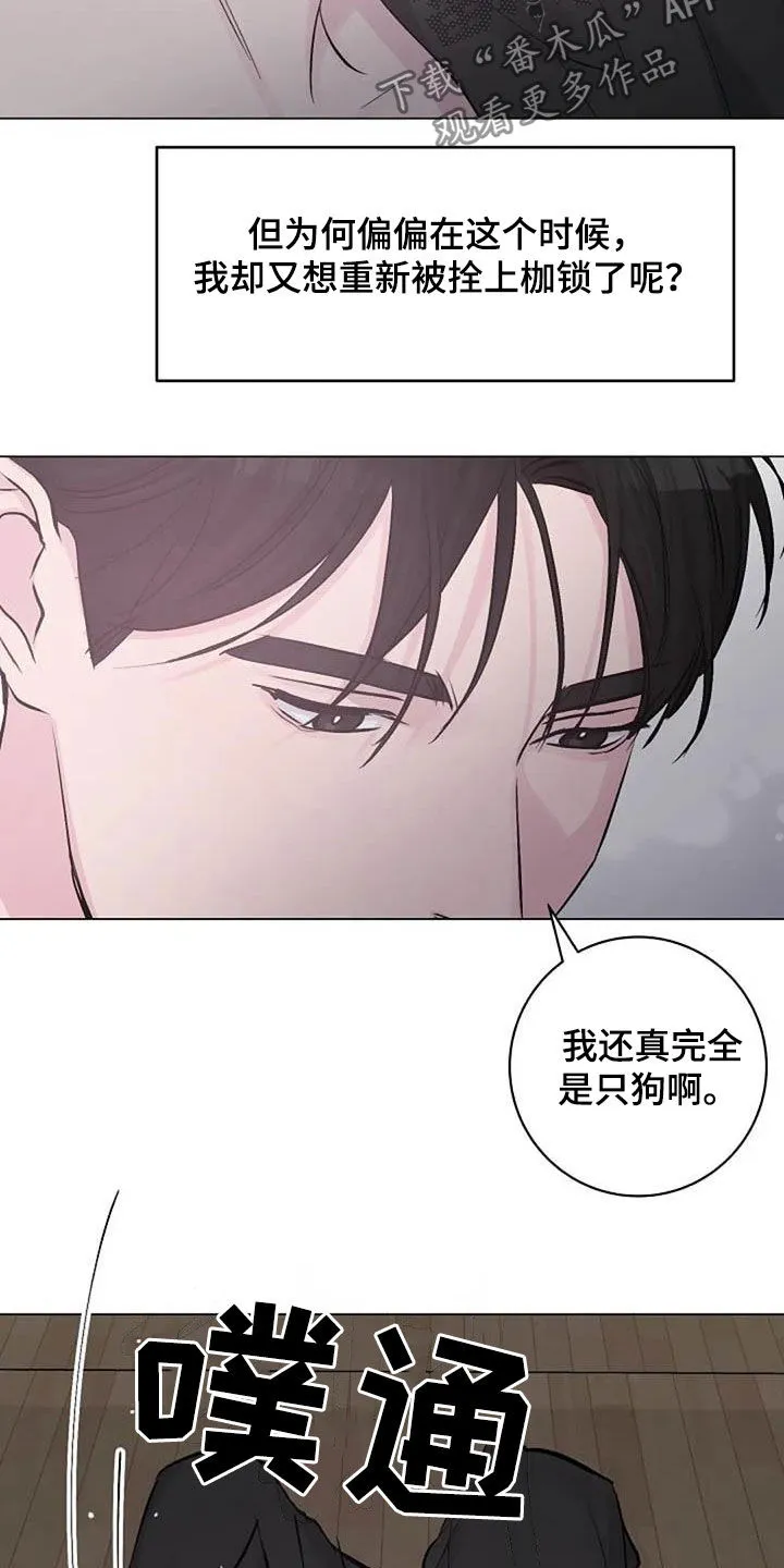 我明白了认真的意义作文漫画,第66章：现状很好14图