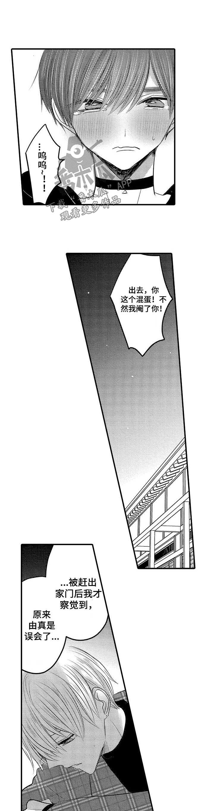 伪造报告漫画免费阅读完整版下拉式6漫画,第45章：【第二季】出轨大危机12图
