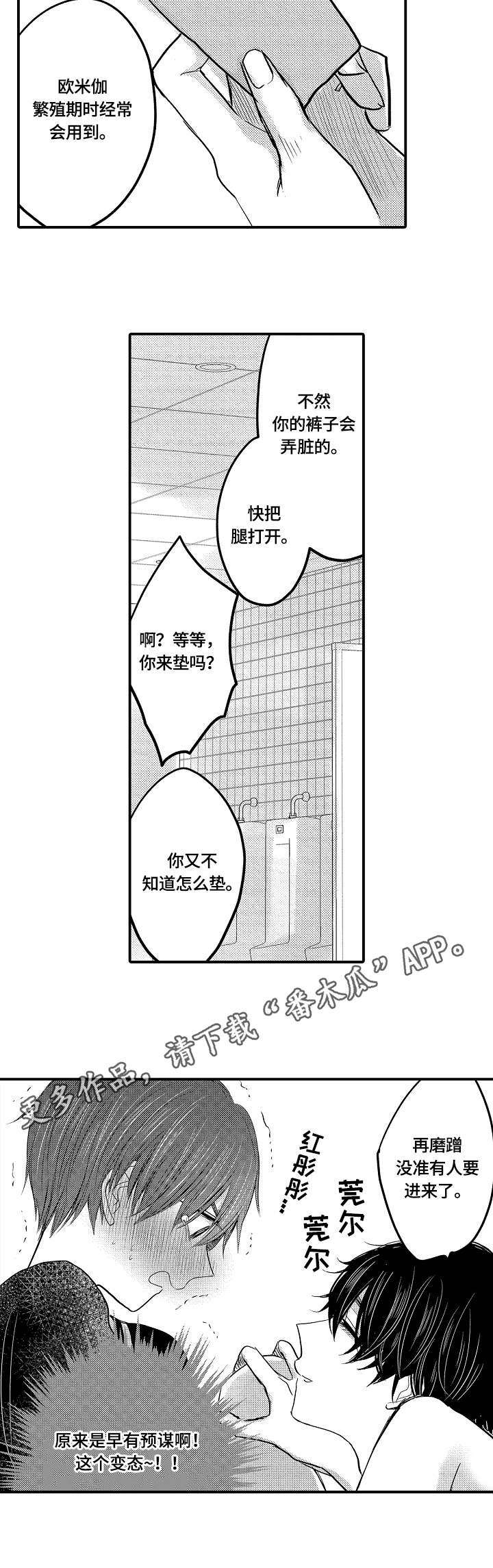 伪造报告漫画结局漫画,第11章：预谋5图