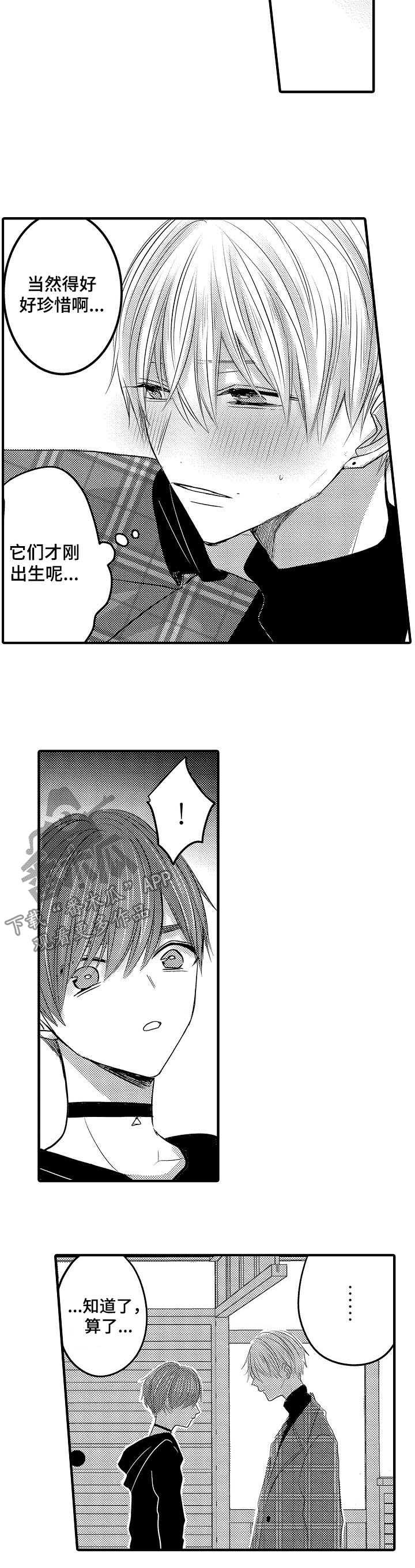 伪造报告漫画免费阅读完整版下拉式6漫画,第45章：【第二季】出轨大危机11图