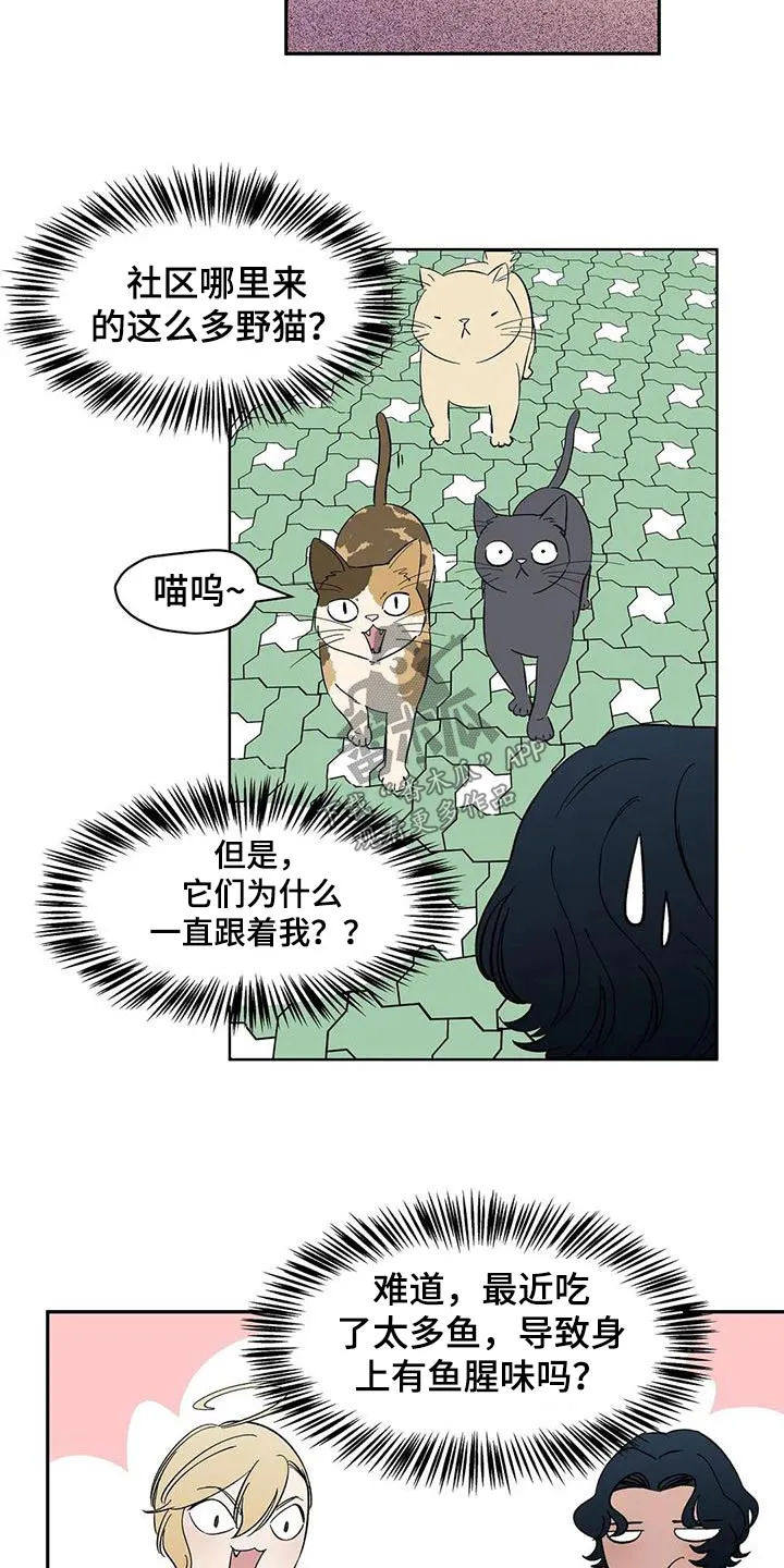 天神的日常动漫漫画,第80章：【第二季】特别6图