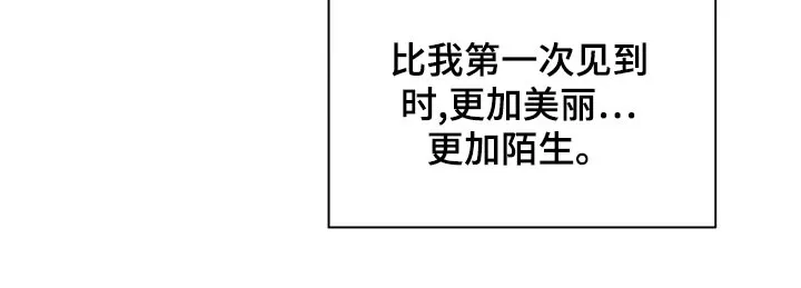 天神的追随漫画高清版漫画,第72章：【第二季】现身15图