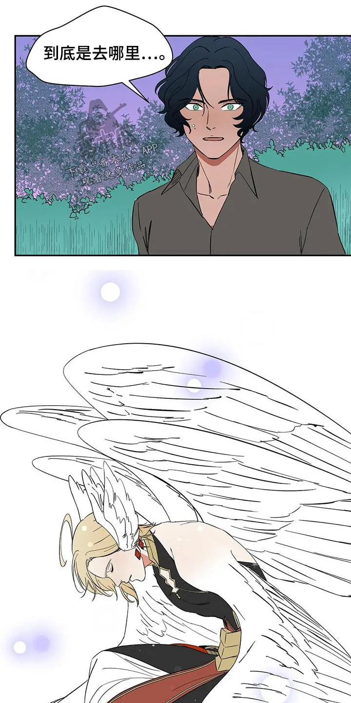 天神的追随漫画高清版漫画,第72章：【第二季】现身12图