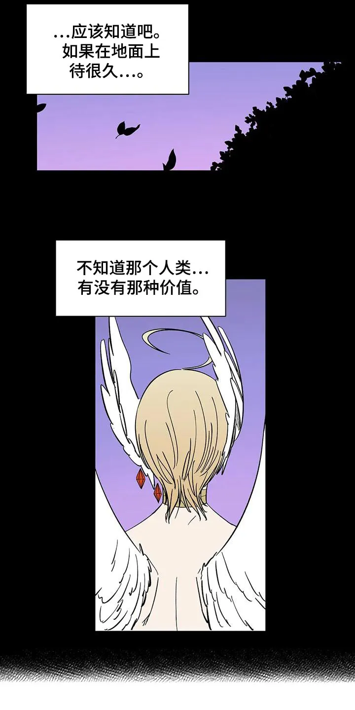 天神的追随漫画漫画,第73章：【第二季】回答24图